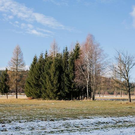 Alicjowka - Domek Марцишув Екстер'єр фото